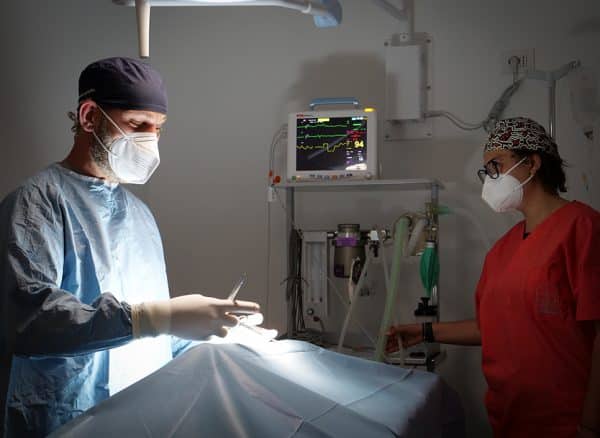 Veterinario e infermiera si apprestano a iniziare un intervento nella clinica CaZampa Monte Nero