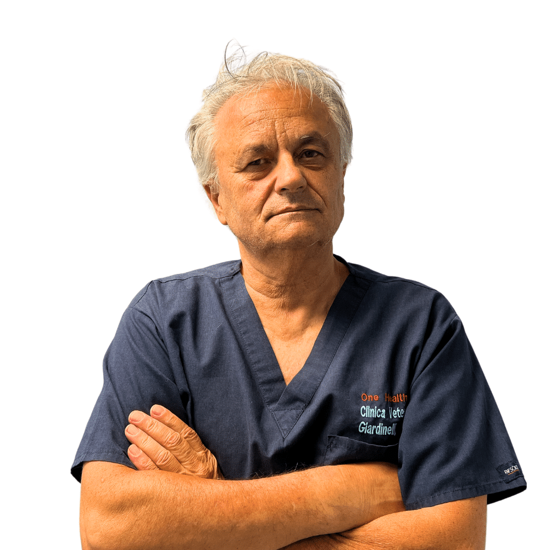 Flavio Colombo Giardinelli