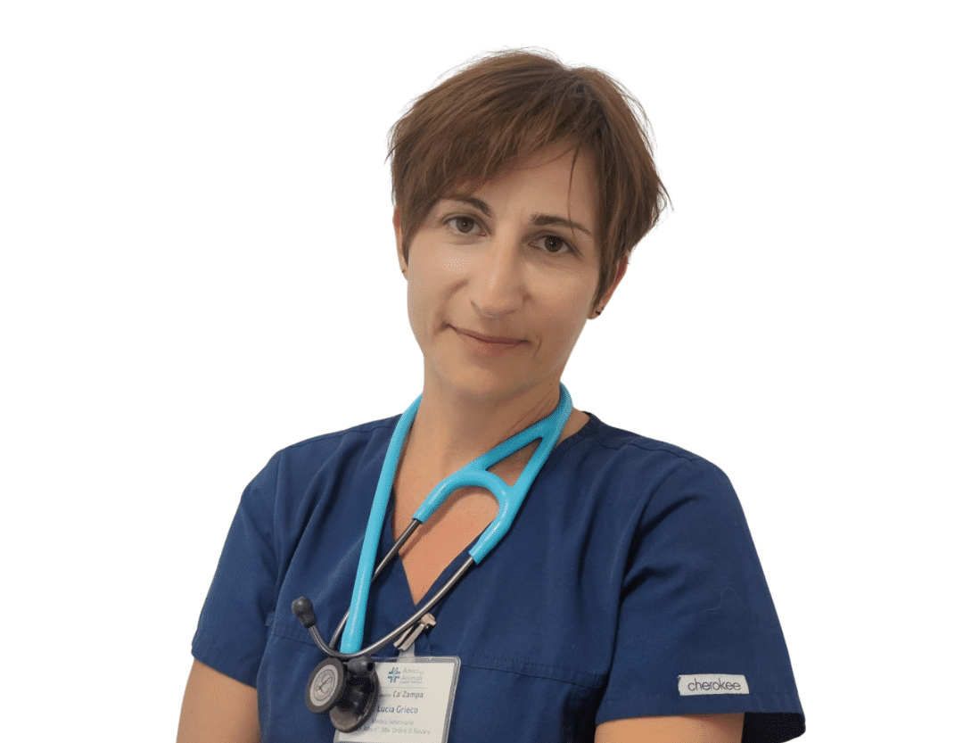 Lucia Grieco
