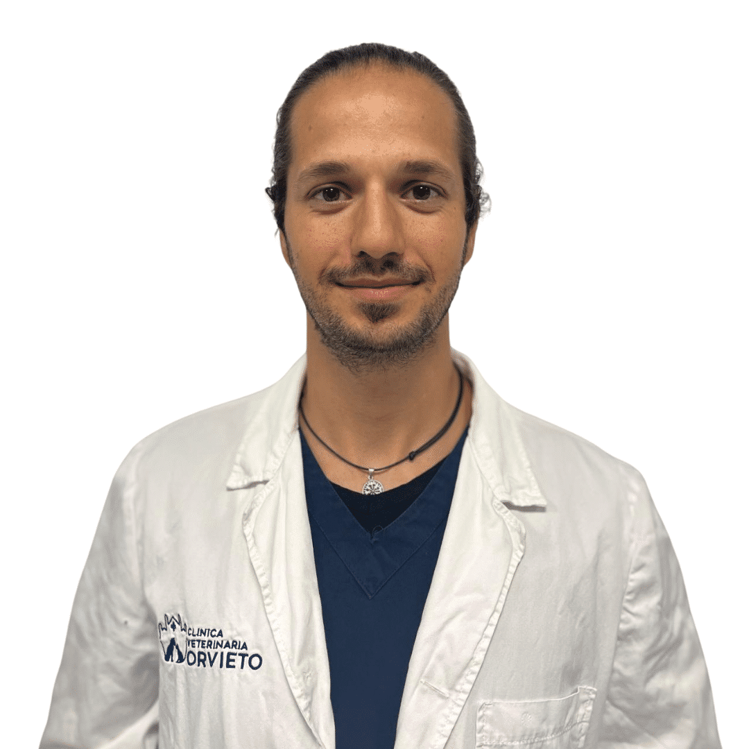 Lorenzo Giansanti