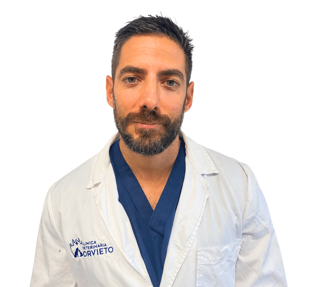 Riccardo Romano