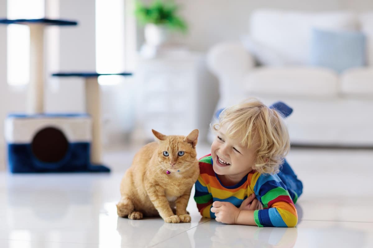 Convivenza gatto bambini
