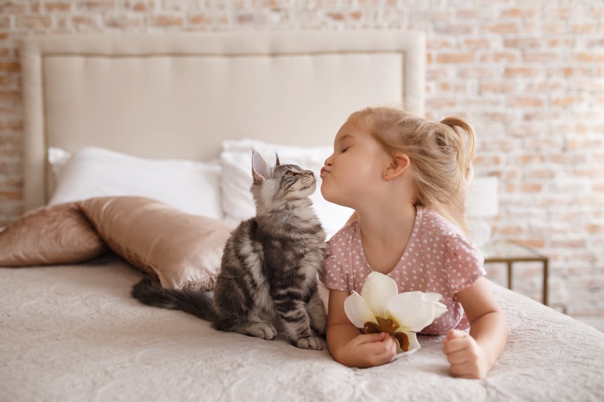 Convivenza gatto bambini