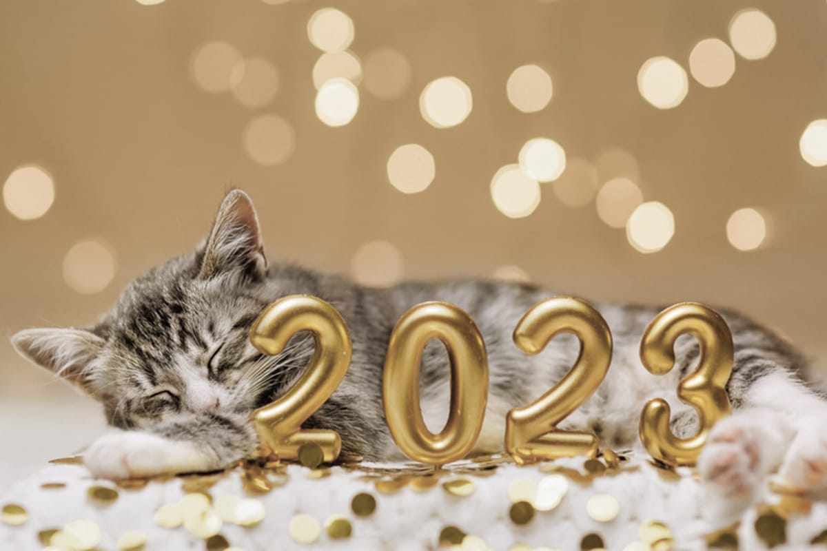 capodanno cane gatto