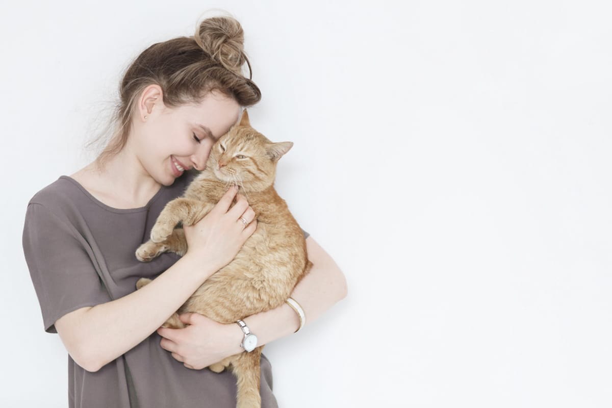 gatto emozioni