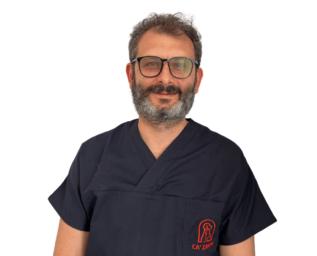 Stefano Bruno