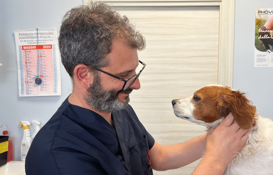 Responsabilità Sociale