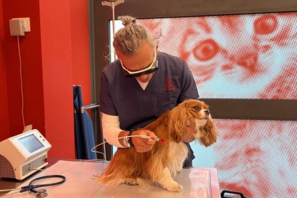 laserterapia