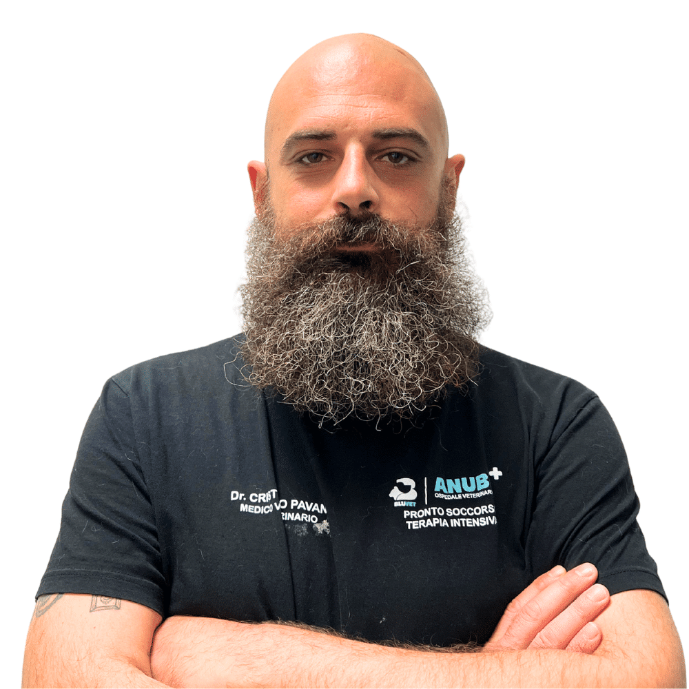 Cristiano Pavan