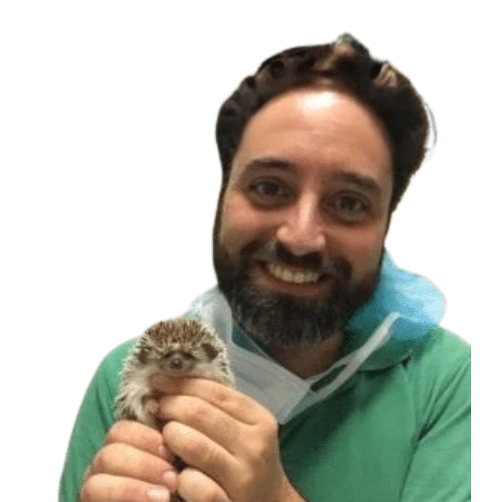 Daniele Petrini