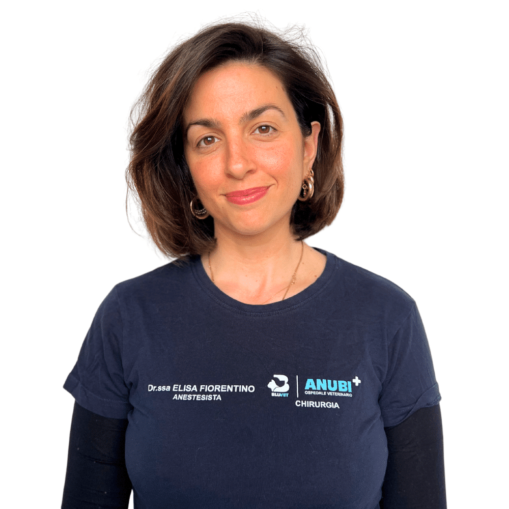 Elisa Fiorentino