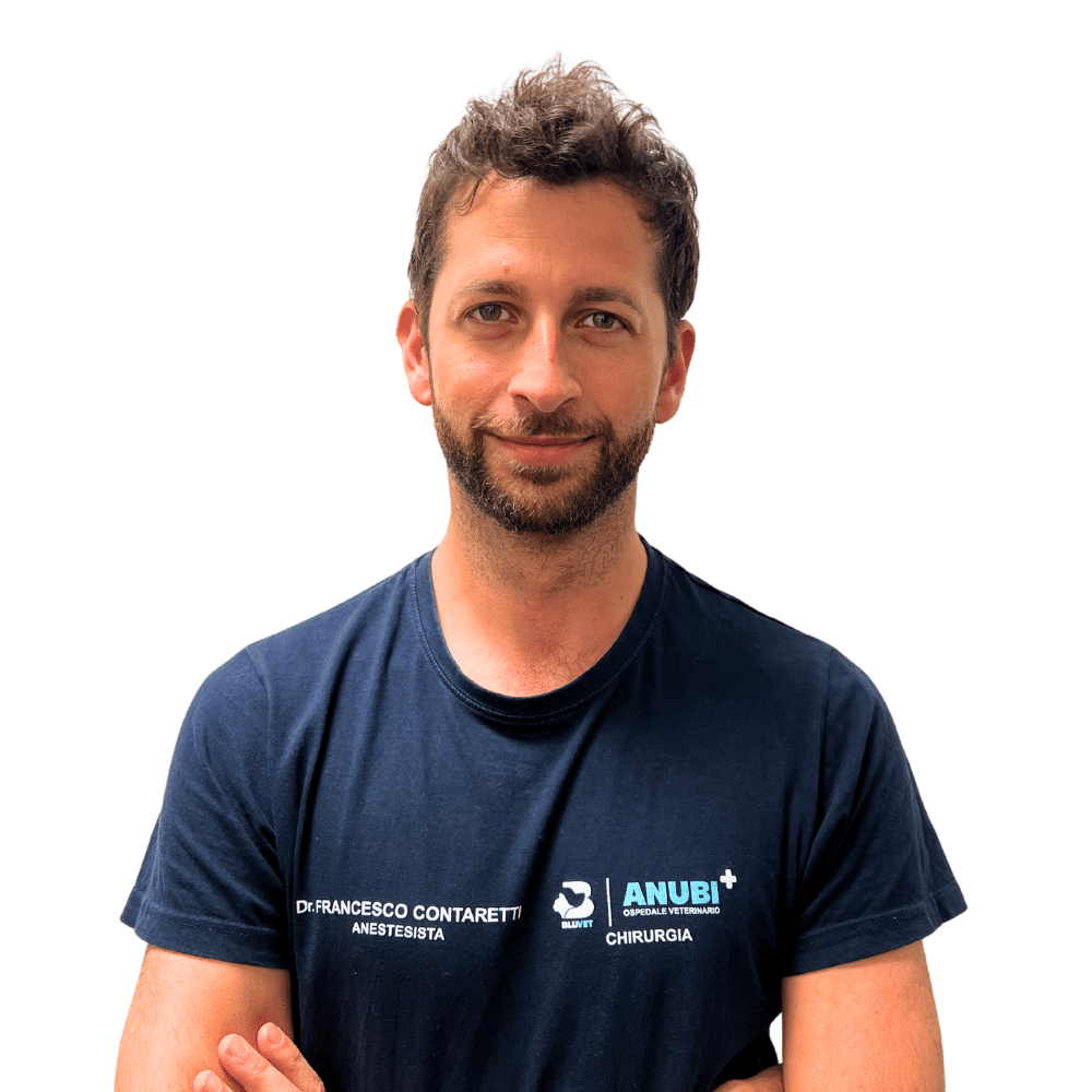 Francesco Contaretti
