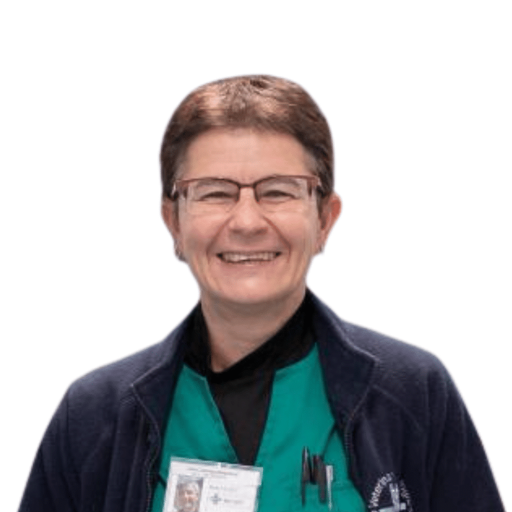 Maria Falqui Massidda