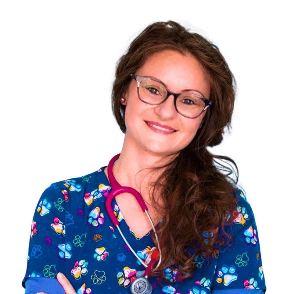 Silvia Alice