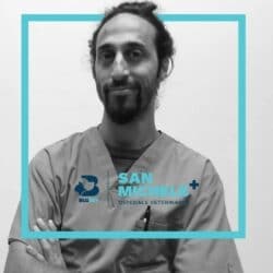 Daniele Zahirpour