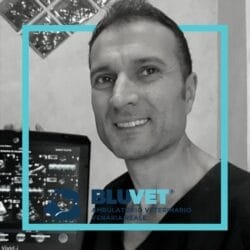Fabrizio Pallaro