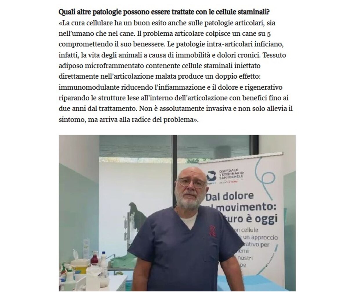 intervista offer zeira su corriere della sera