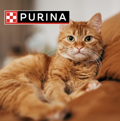 Alimenti Purina